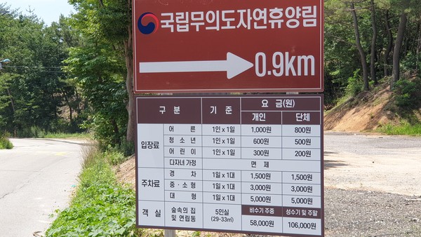 15일 개장한 무의도자연휴양림... 치열한 입실 경쟁