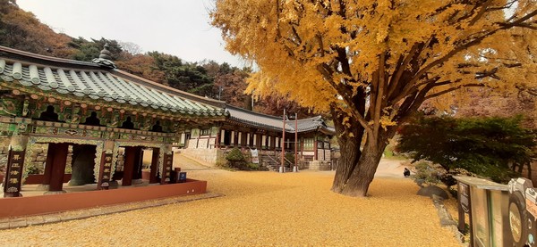 고려산이 품은 절집, 백련사 · 청련사 · 적석사