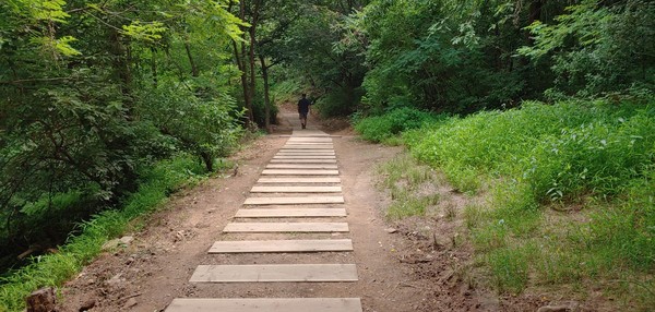 미추홀구, 승학산 둘레길 새단장... 철계단 바꾸고, 보행매트 깔고