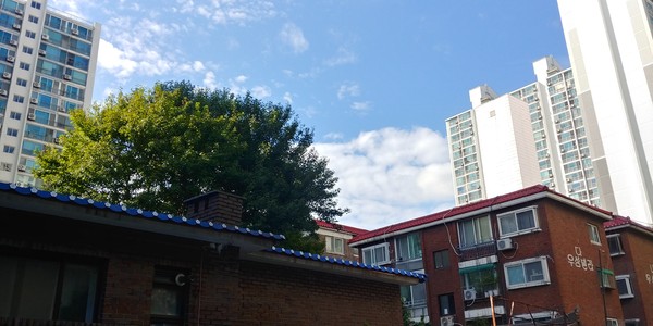맑고 따사로운 도롱뇽 이웃집, 만삼이네