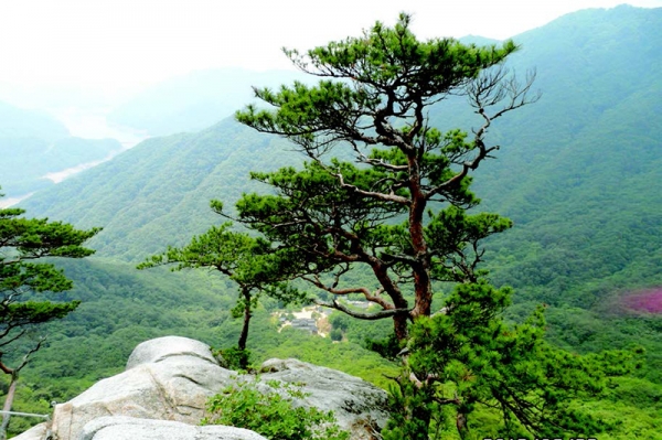 [한국 유산기(32)] 봄내 고을의 오봉산, 삼악산(1)