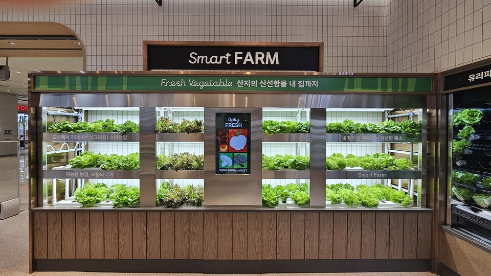 대형마트가 스마트팜으로 장마철 대비하는 법