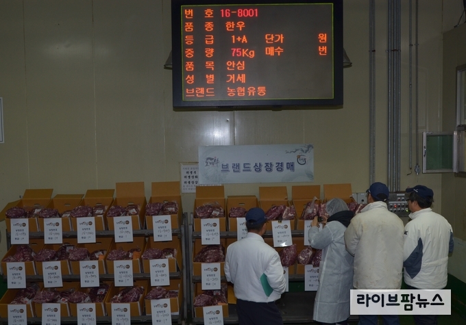농협, 음성축산물공판장 부분육 경매사업 본격 추진