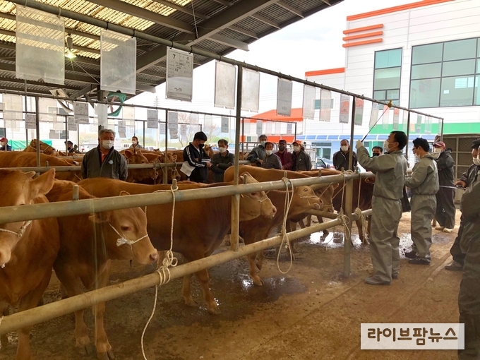축평원 대전충남, 가축시장 축산물이력제 이행실태 점검
