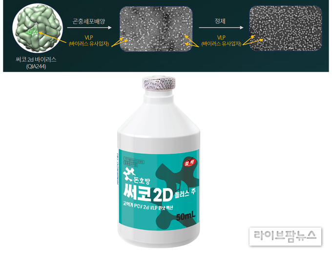 국내 최고 VLP 생산기술과 국제학술지 논문으로 입증된 효과, ‘돈호방 써코2d 플러스 백신’