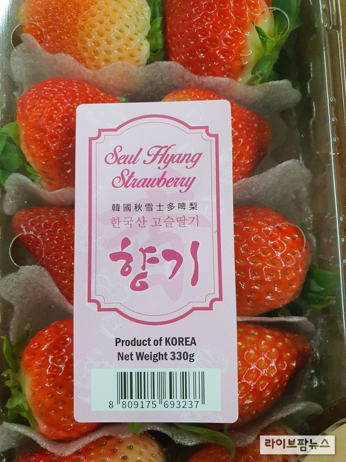 농진청, 국산 여름 딸기 ‘고슬’ 홍콩에 첫 해외 수출