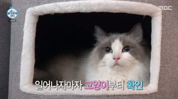 나혼산 강다니엘 최초로 집 공개...혼자 산지 벌써 4년