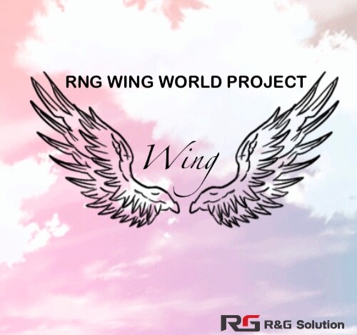㈜알앤지솔루션 WING WORLD Project 및 주주친화정책 발표