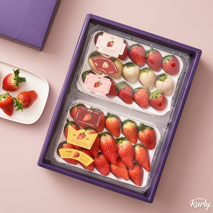 마켓컬리, 설향, 금실, 설화  등 6가지 딸기를 한번에 담은 딸기취향찾기세트 한정 판매