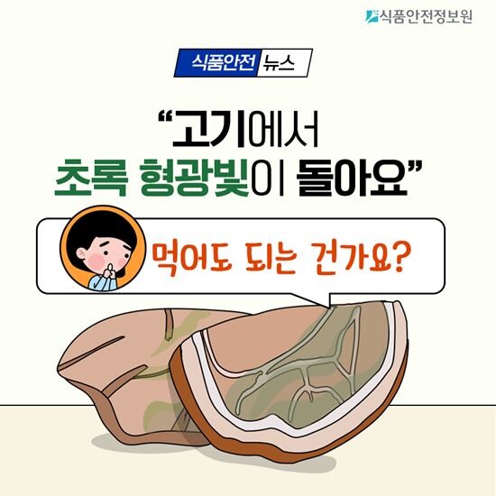 식품안전정보원, 초록 형광빛이 도는 고기에 대한 설명, 섭취 주의사항 안내