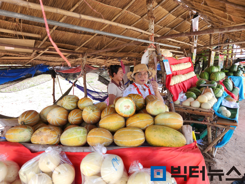<라오스 커피 심장부, 볼라벤 고원을 가다> ① 비엔티안~팍세 왕복 3000리를 달리다
