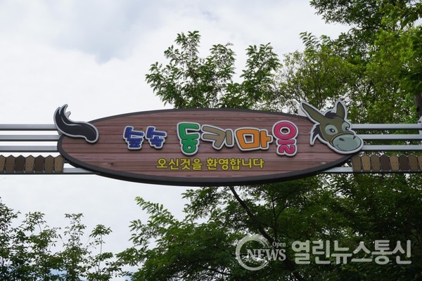 홍천군, 숲속 동키마을 수탁운영자 모집