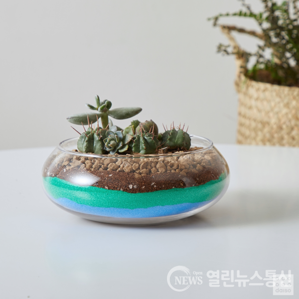 아성다이소, 홈 가드닝 인테리어 기획전 진행