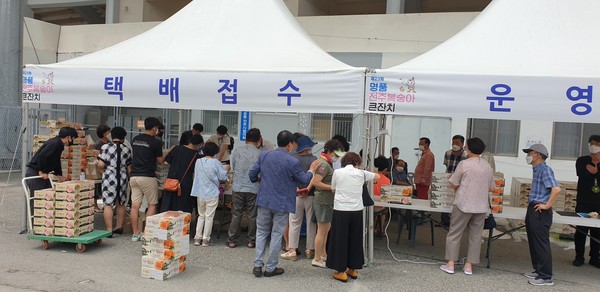 제23회 명품전주복숭아큰잔치 성황 이뤄