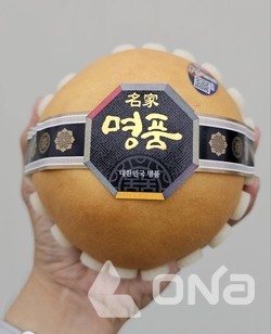 안성시, 안성배 신화 품질 차별화 프리미엄 세계 시장 개척 온힘