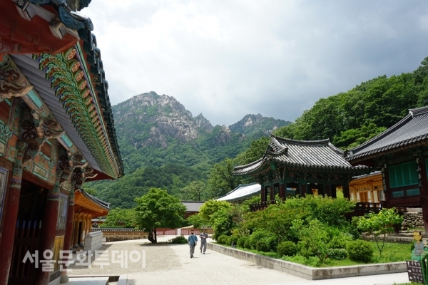 [천호선의 포토 에세이 69]설악산 신흥사