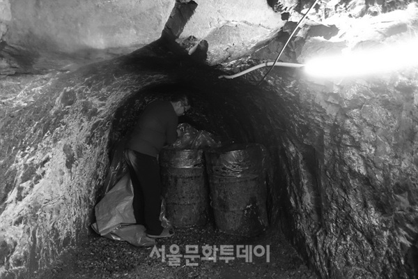 [정영신의 장터이야기75] 토굴에서 발효되는 자연의 맛, 광천 새우젓