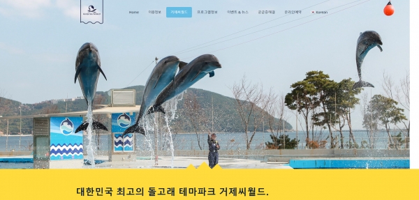 [인터뷰]벨루가 논란 거제씨월드의 목소리를 들어보다. 