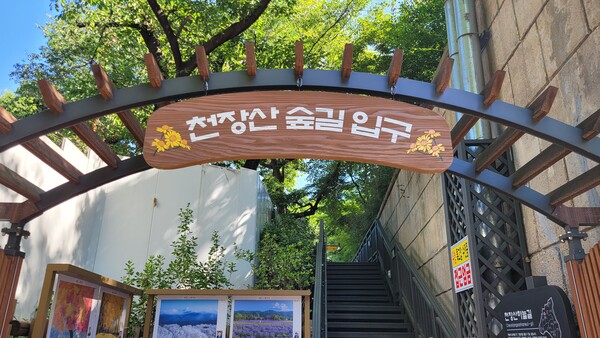 하늘이 숨겨 놓은 길 천장산숲길 [뻐꾸기의 山行]