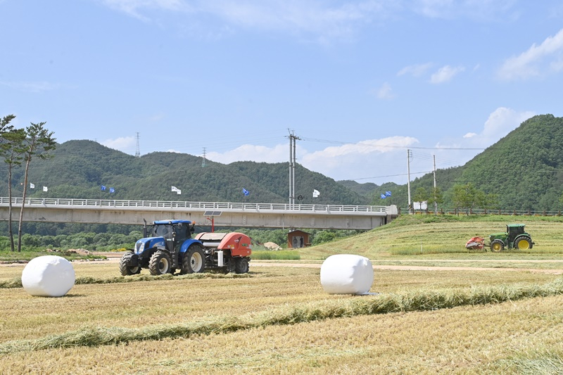청송군, 청송정원 청보리 수확 개시···백일홍 조성 나서