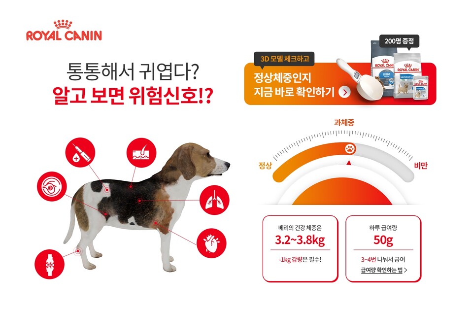 로얄캐닌코리아, 2022 반려동물 체중관리 캠페인 진행