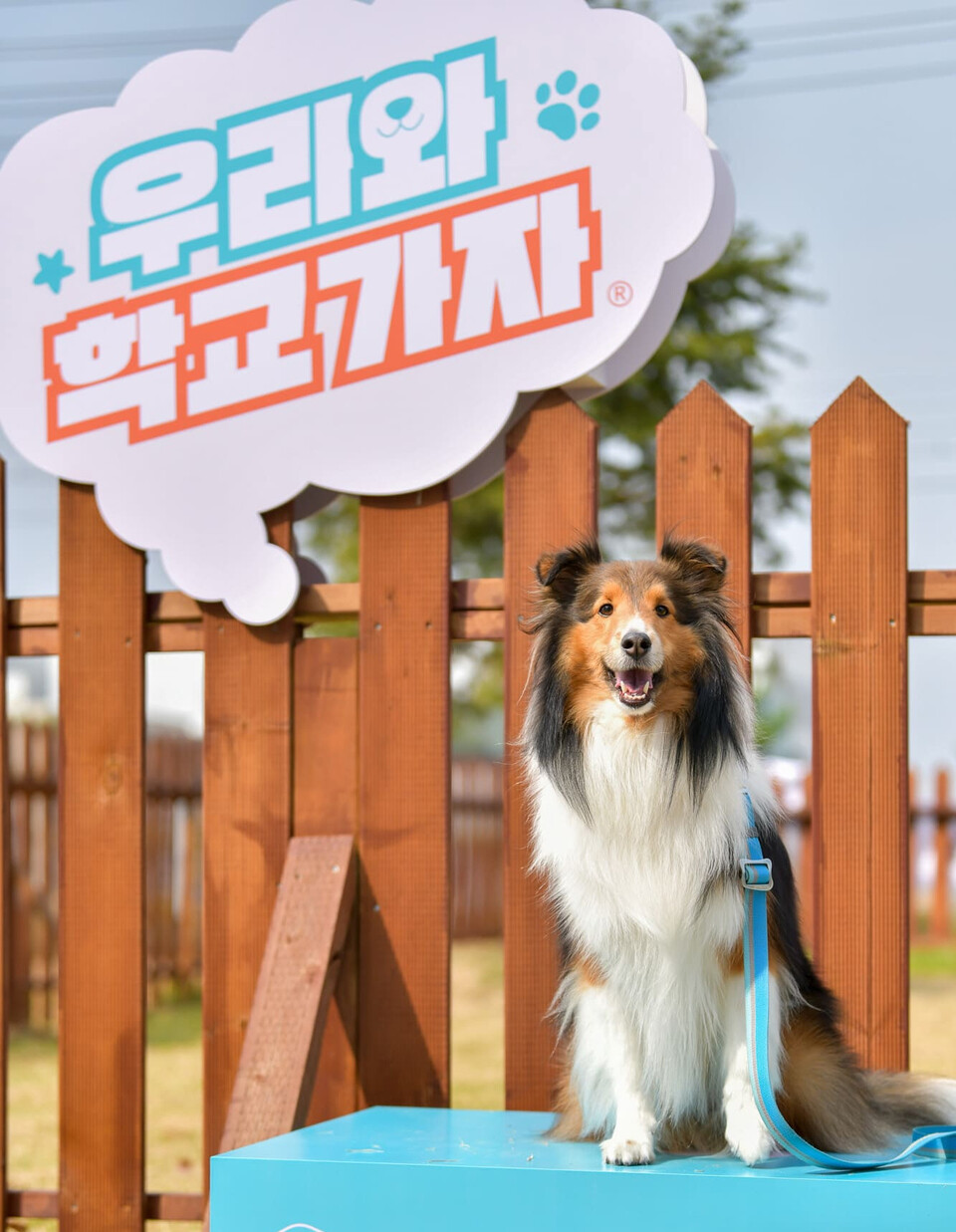 우리와주식회사, 반려견 교육 프로그램 제1회 우리와 학교가자 진행