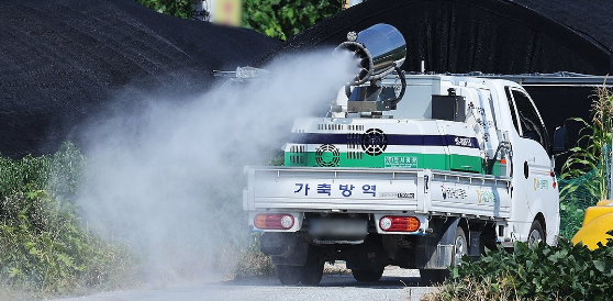 전북도, 추석 명절 특별방역 기간 지정…ASF·럼피스킨 차단 총력