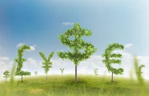 A gold rush for ‘green finance’ risks changing our relationship to nature