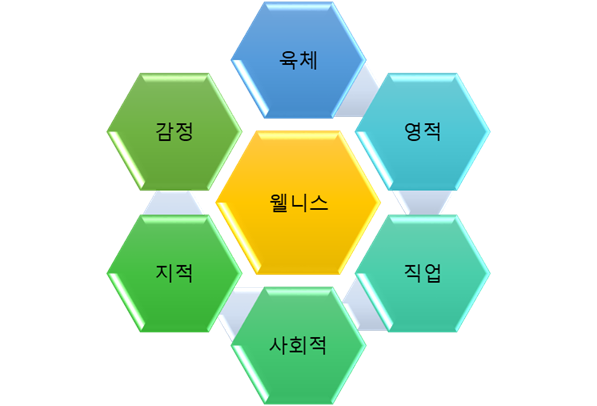 인도네시아 웰니스와 건강에 대한 소비행태
