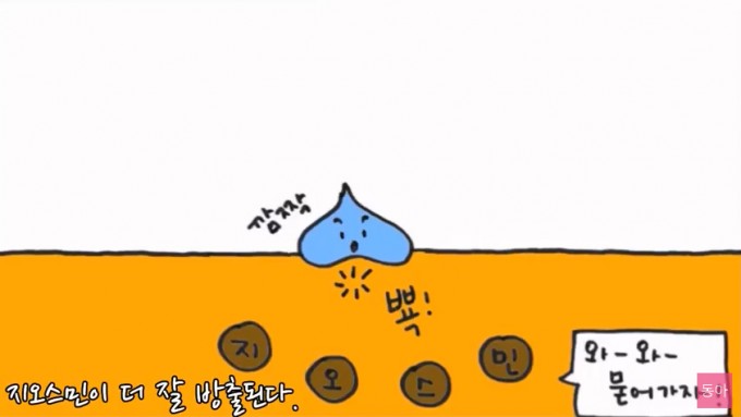 [과학 읽어주는 언니] 싱그럽고 비린 여름냄새...정체가 뭘까?