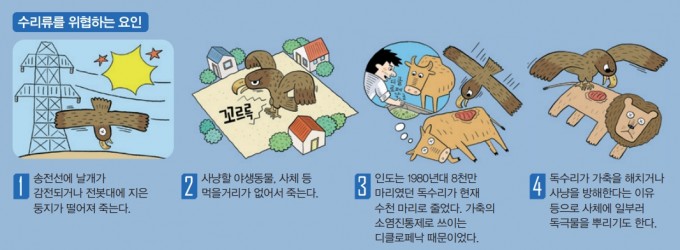 [애니멀리포트] 초원수리 민은 어쩌다 통신요금 폭탄을 맞았나