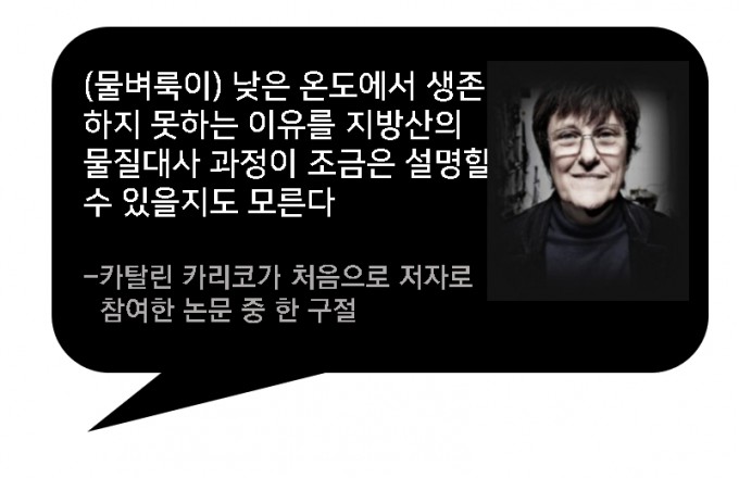 [김우재의 보통과학자]mRNA백신 개발자에게 연구는 생존 위한 처절한 몸부림이었다