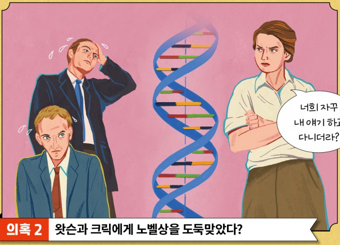 프랭클린은 왓슨과 크릭에게 노벨상을 도둑맞았다?