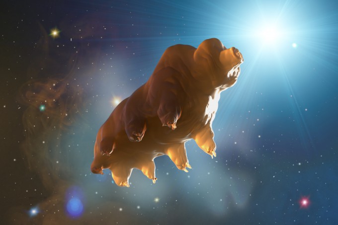 생존왕 물곰, 방사선 노출 이겨내는 비결은?