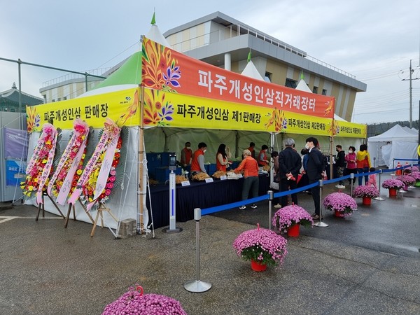 파주개성인삼 직거래행사 온라인 축제 운영