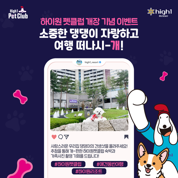 하이원리조트 소중한 댕댕이 자랑하고 하이원으로 떠나시~개