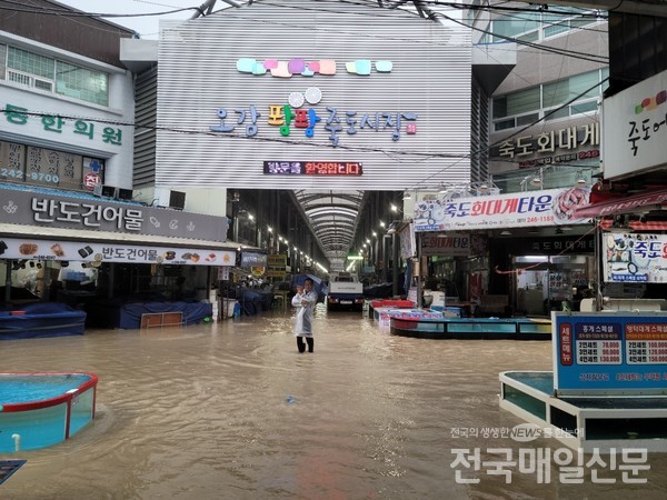 [태풍 힌남노] 포항 죽도시장 침수