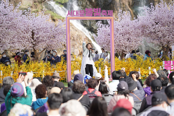 봄빛축제