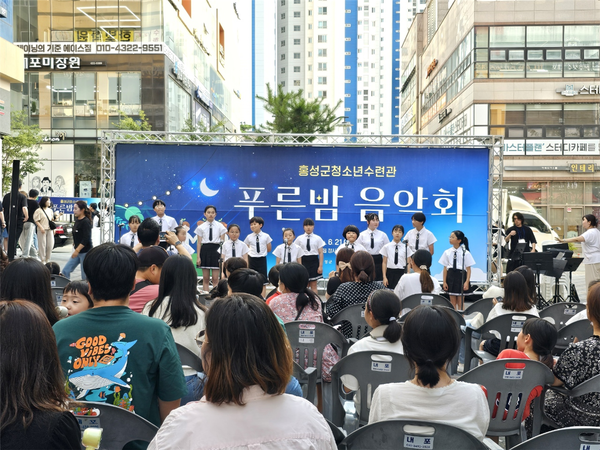 홍성군, 청소년 위한 2024 푸른밤 음악회 개최