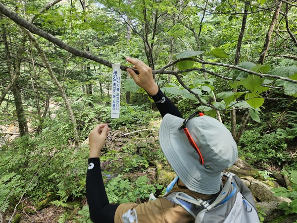 설악산국립공원, 양심리본 활용 불법행위 근절 캠페인 진행