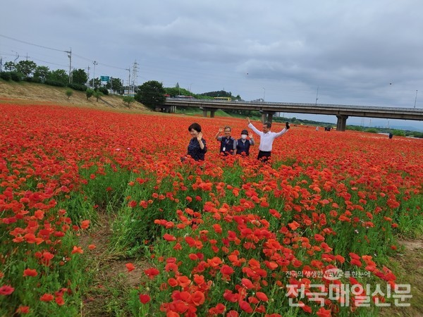 홍어와 한우의 조화 나주 미식축제 개막