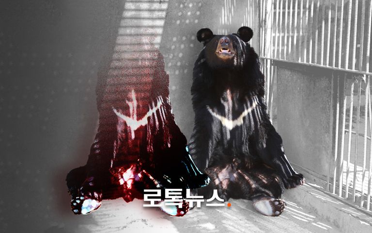 한 마리만 탈출했는데…거짓말로 행정력 낭비하게 한 농장주, 책임은 어디까지