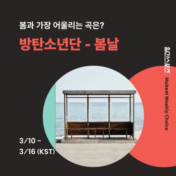 [일간스포츠X뮤빗] BTS ‘봄날’ 봄과 가장 잘 어울리는 노래