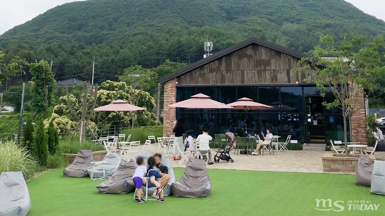그래도 스타벅스? 춘천서 가장 사랑 받는 커피 전문점은