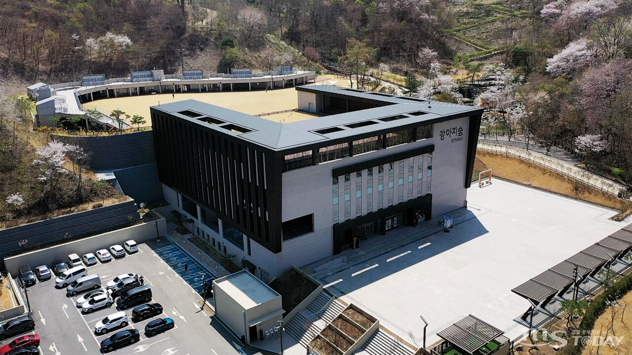 춘천 강아지숲, 반려동물 동반 관광 연계 효과 톡톡