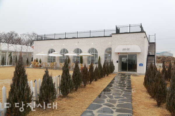 신설상가 앙비떼 (송악읍 금곡리)  최슬기 대표  반려견과 함께 유럽풍 카페로 놀러오세요