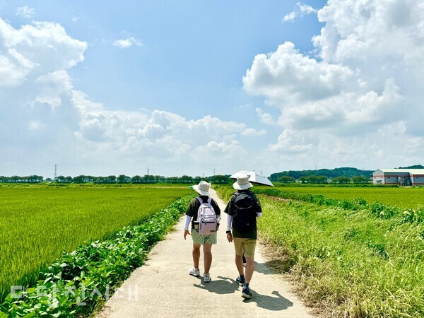 합덕을 걷다…트레킹과 함께한 로컬투어