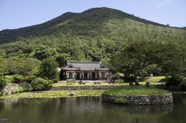 [굿모닝 예향] 운림산방 구름숲, 수묵비엔날레 묵향... 진도에 스며든다