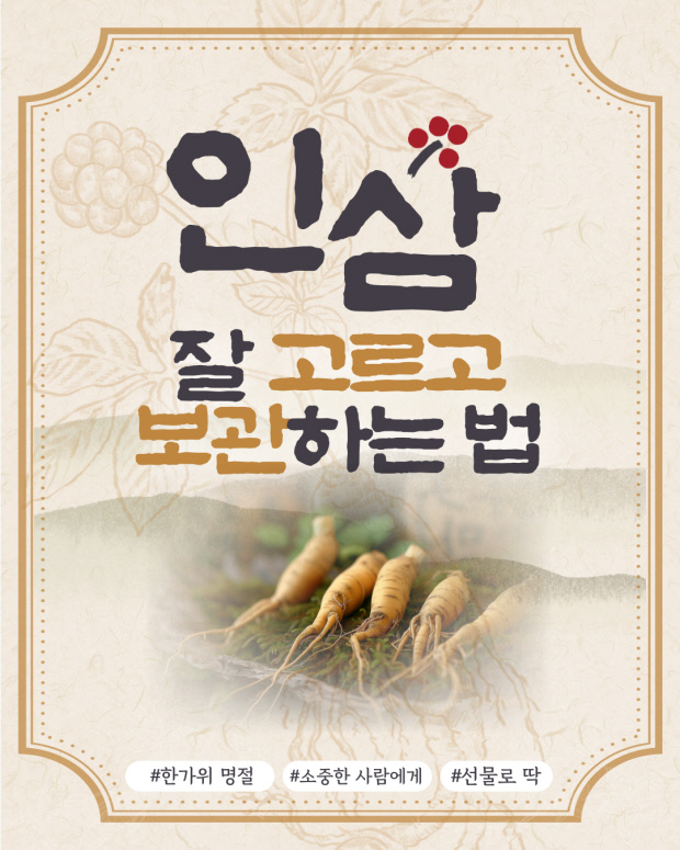 잔뿌리가 많을수록 좋아요…좋은 인삼 고르고 보관하는 법