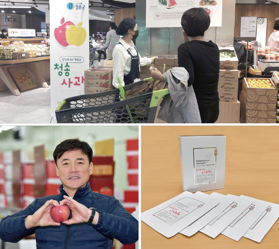 황금진, 청송 넘어 대한민국 명품 사과로
